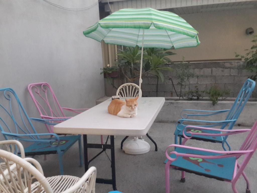 Hualien Susi Space Xincheng Township Dış mekan fotoğraf